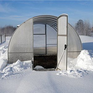 теплицы в минске